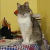 Отзыв от Нелли Грачева